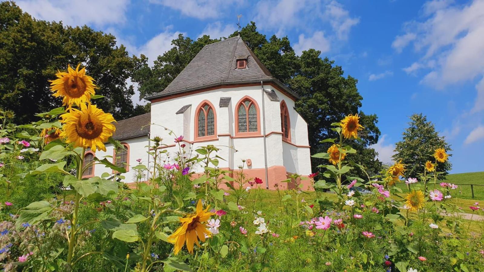 Ferienhaus Deine Zeit Mit Sauna Und Wallbox Nettersheim Экстерьер фото